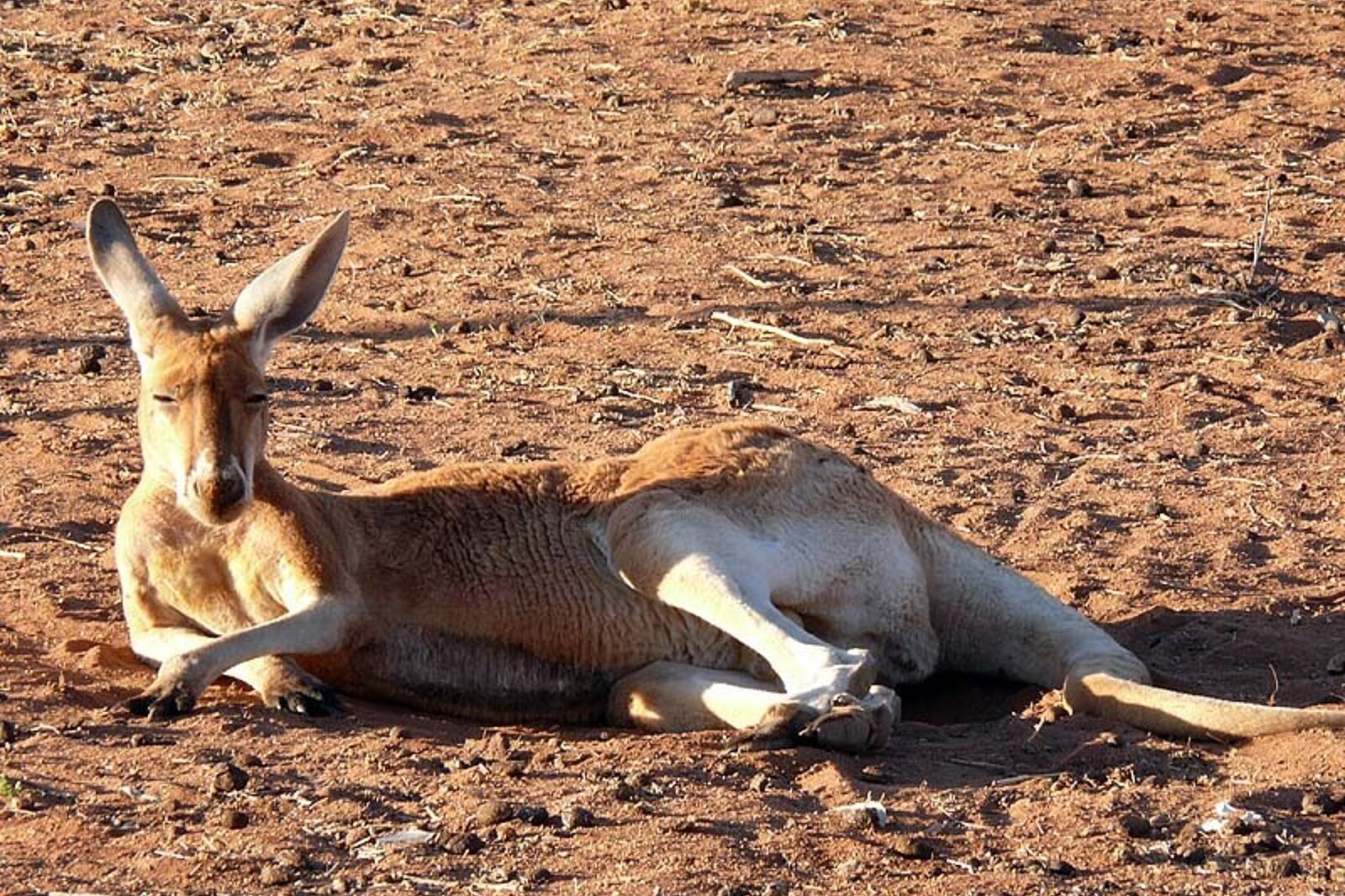 1331119917 skrzeczyna podroze 01 13