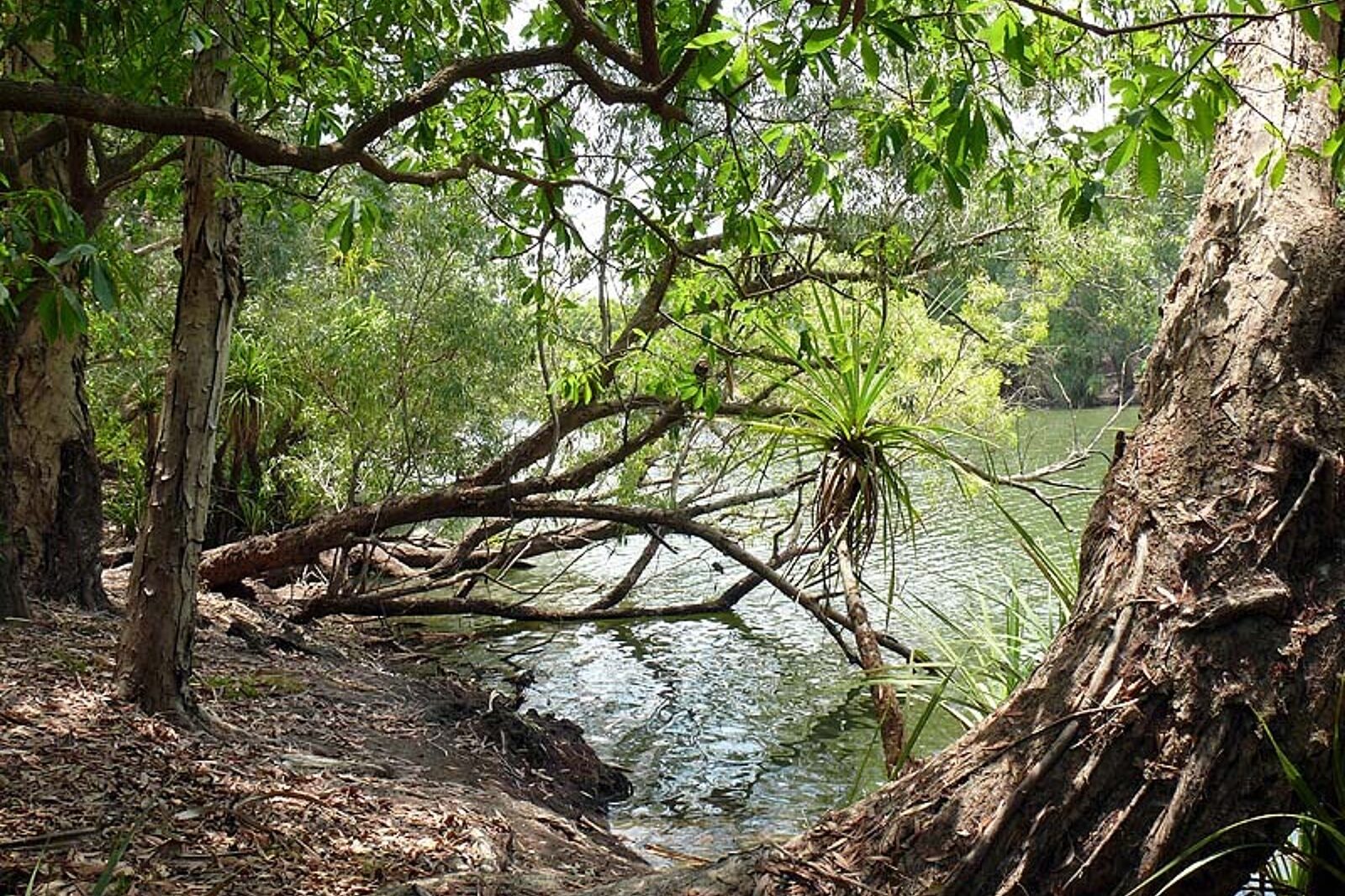 1331119917 skrzeczyna podroze 01 18