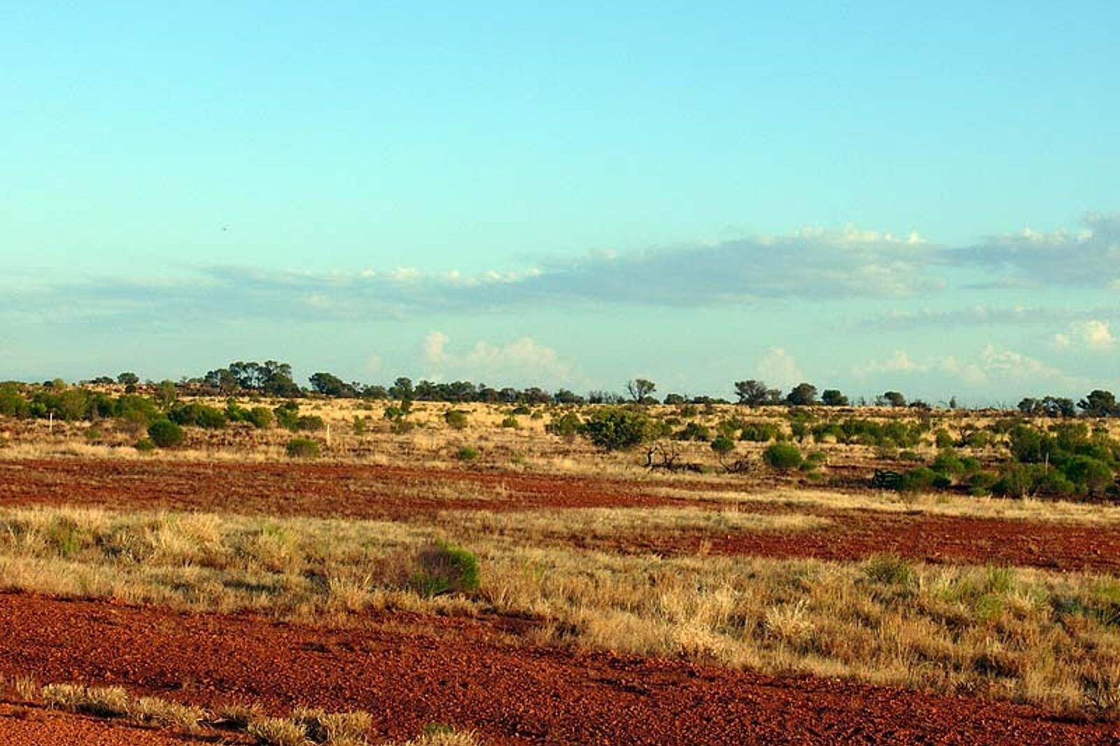 1331119917 skrzeczyna podroze 01 6