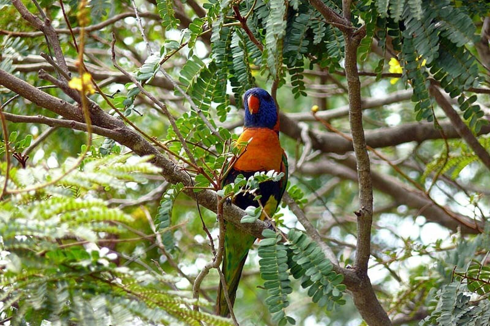 1331120023 skrzeczyna podroze 01 19