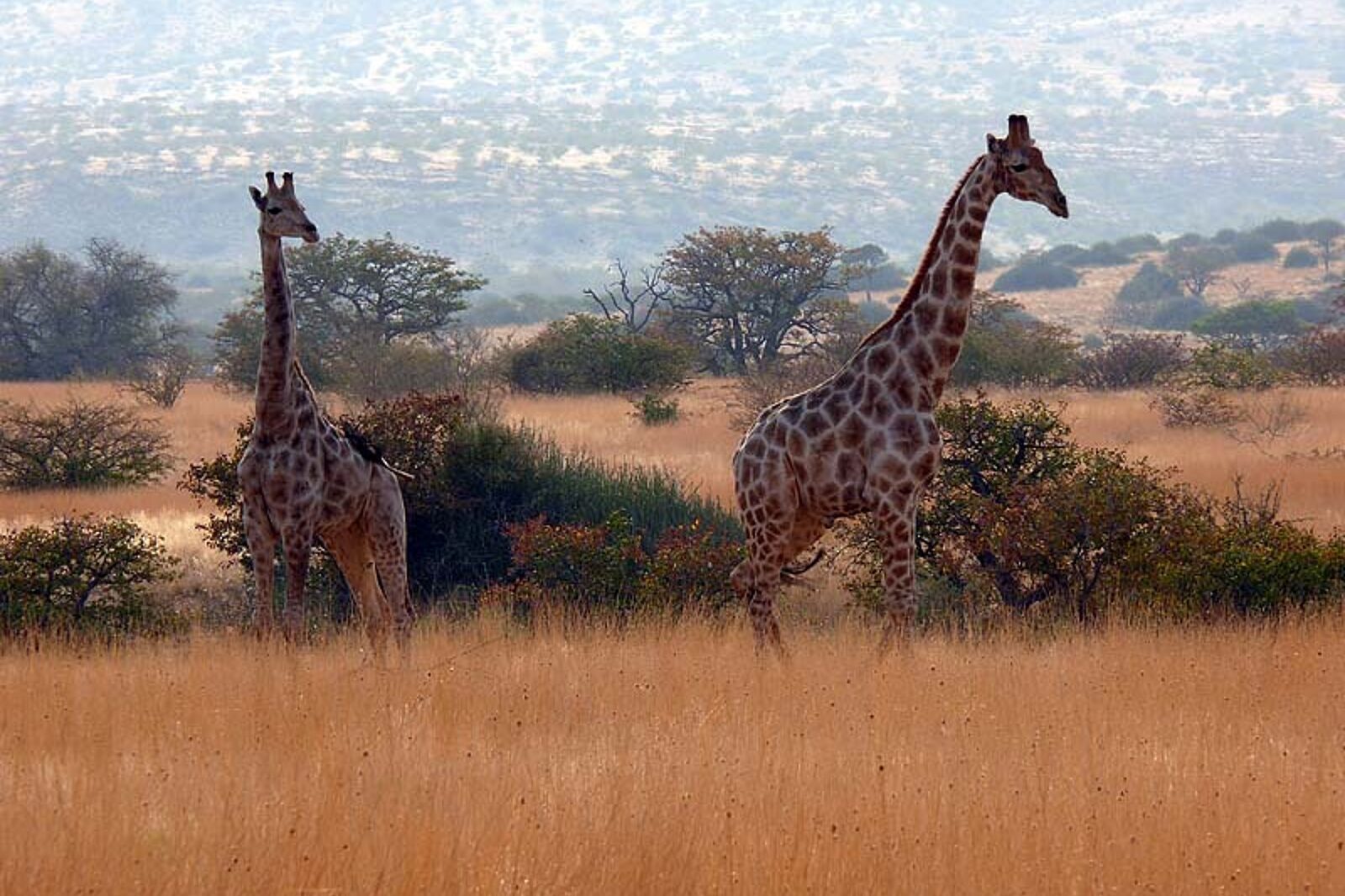 1331120119 skrzeczyna podroze 01 49