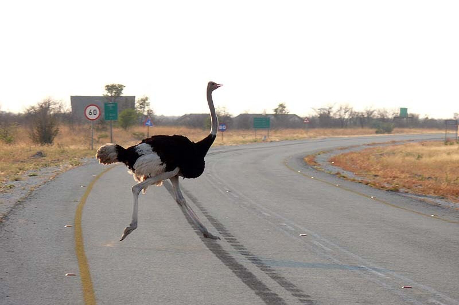 1331120119 skrzeczyna podroze 01 57