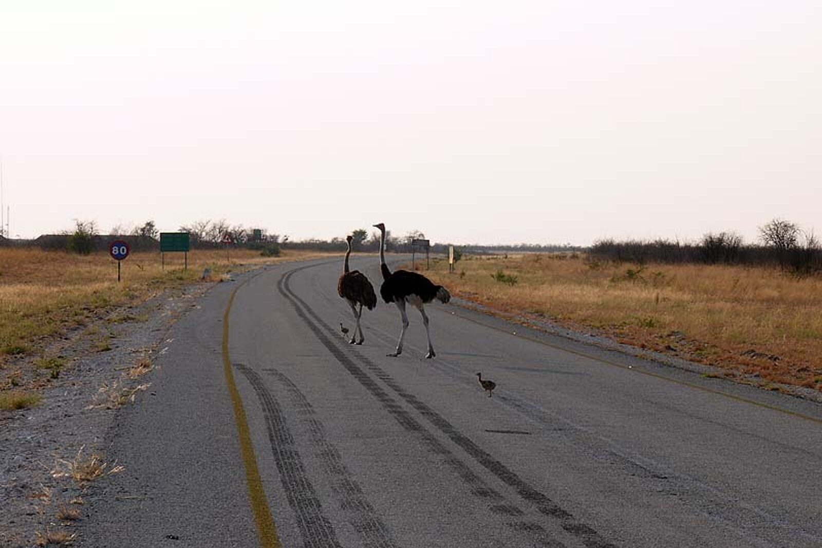 1331120119 skrzeczyna podroze 01 58