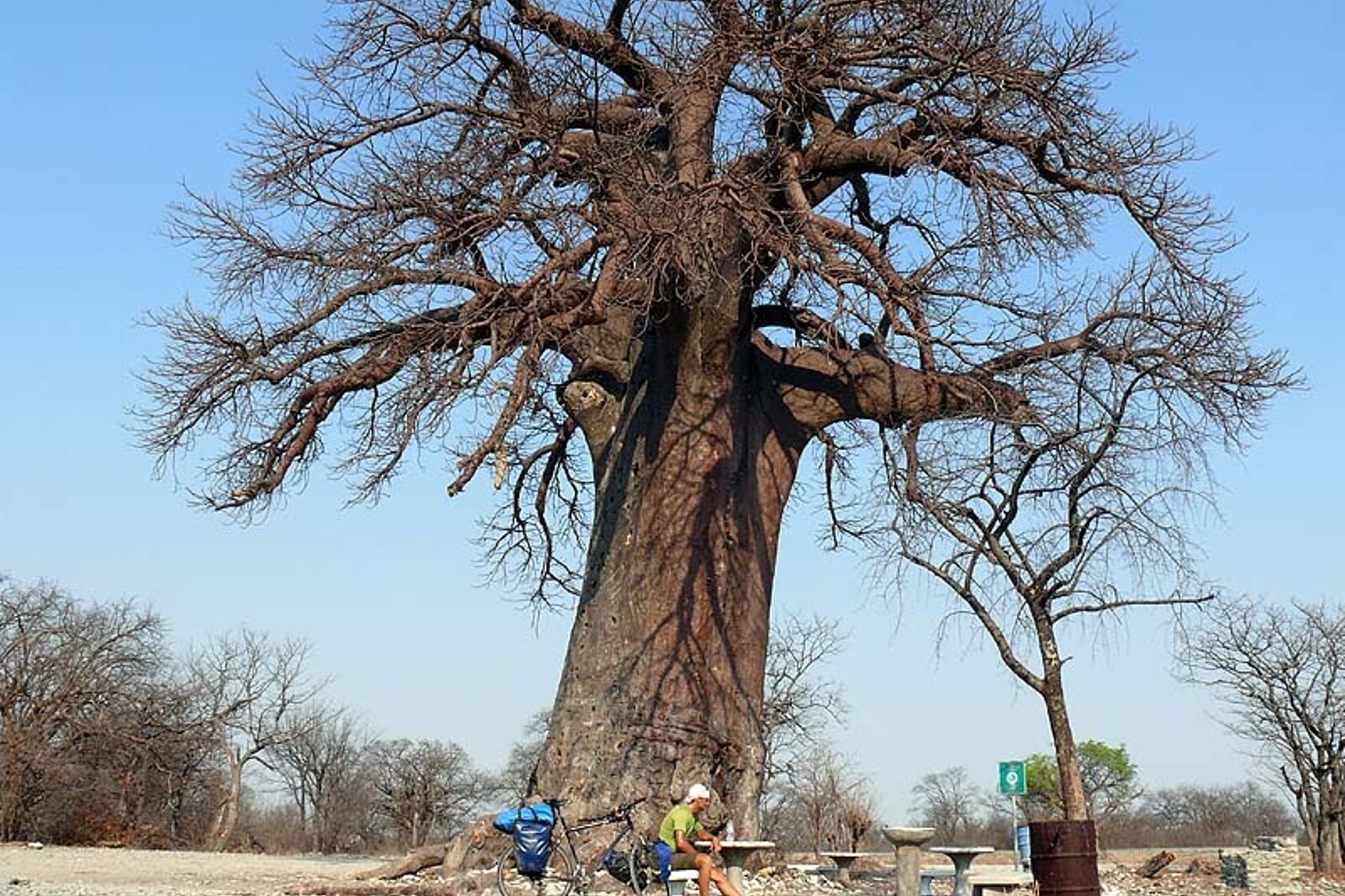 1331120119 skrzeczyna podroze 01 59