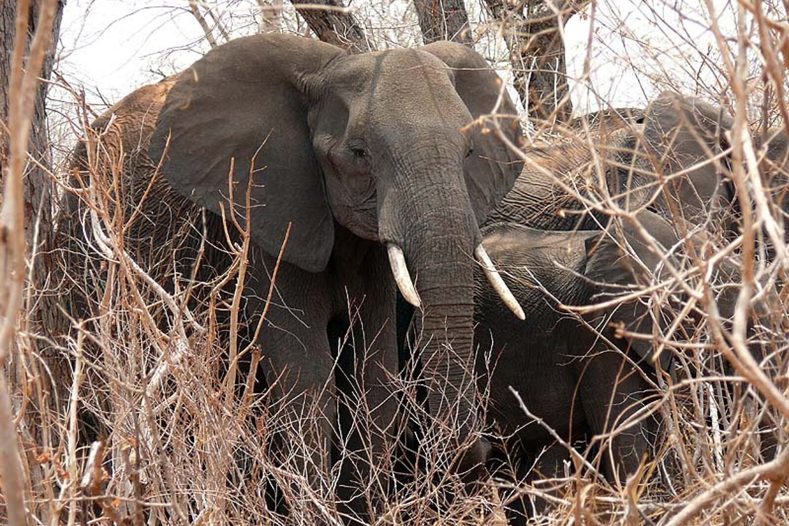 1331120119 skrzeczyna podroze 01 61