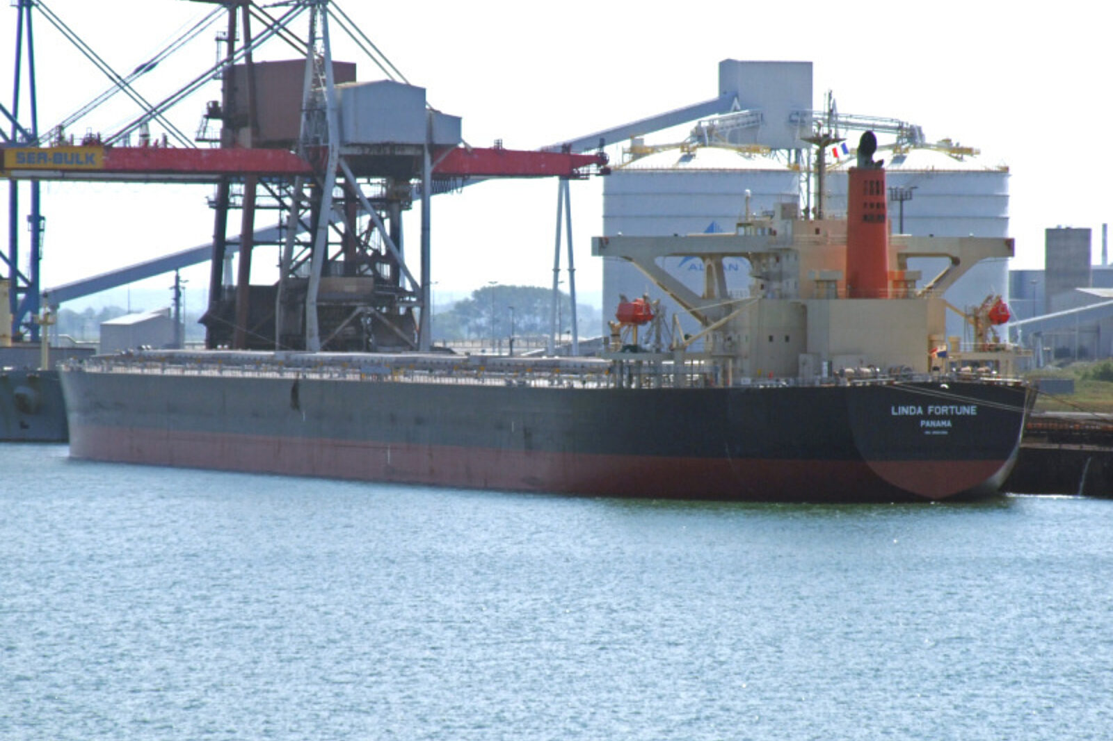 1331219636 linda fortune