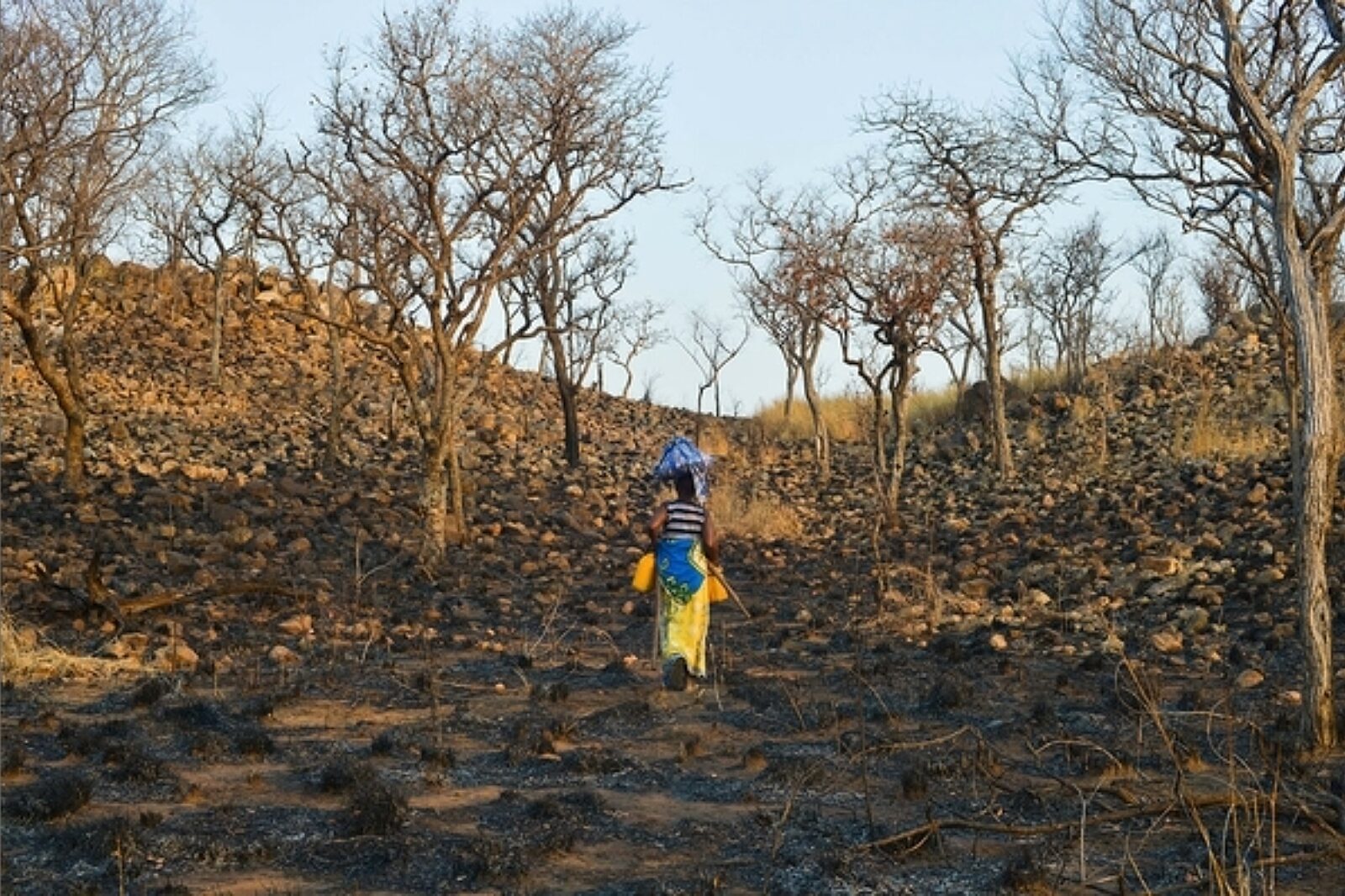 Ziemia, którą przyznano w Cateme Senolii S. okazała się zajęta przez prawowitych właścicieli. Za odszkodowanie kobieta mogła kupić tylko ten skrawek skalistego poletka.