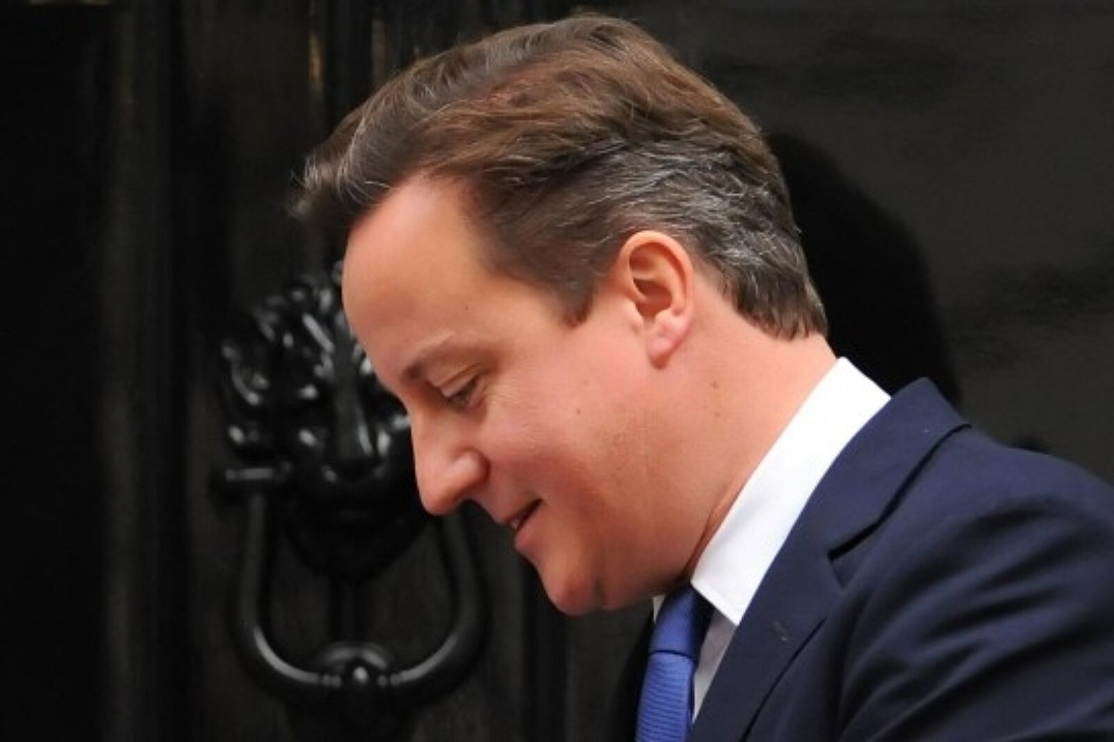 1376042226 cameron david