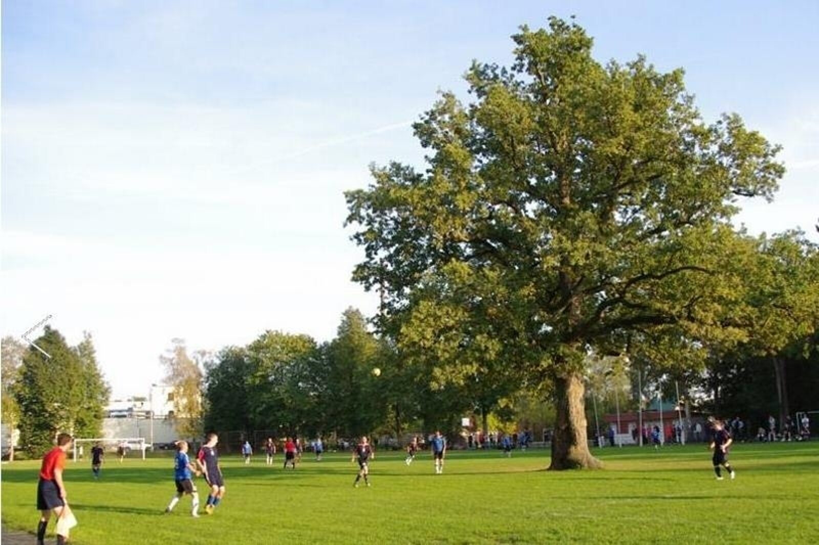 1425651318 dab na boisku estonia elina kalm