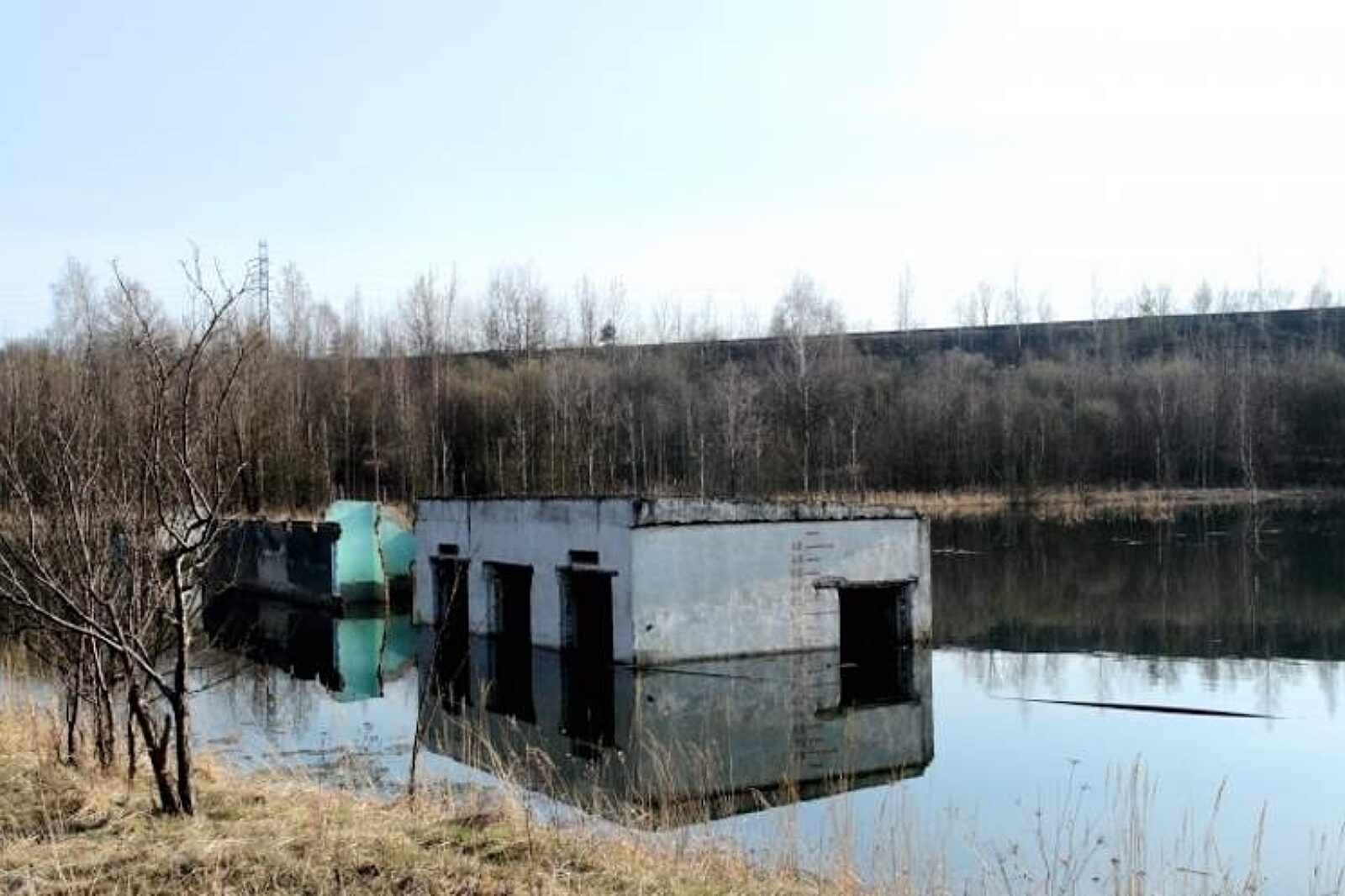 1427376318 niecka montoment