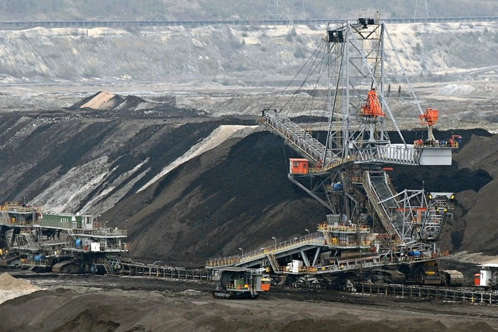 1441010599 08 brunatny gal k4