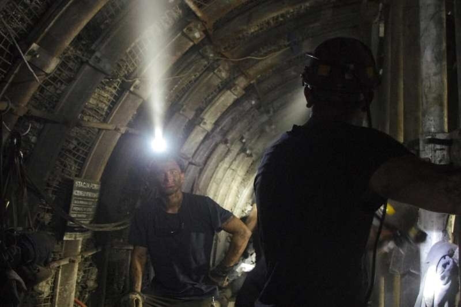 1447940977 sciana kurow 22