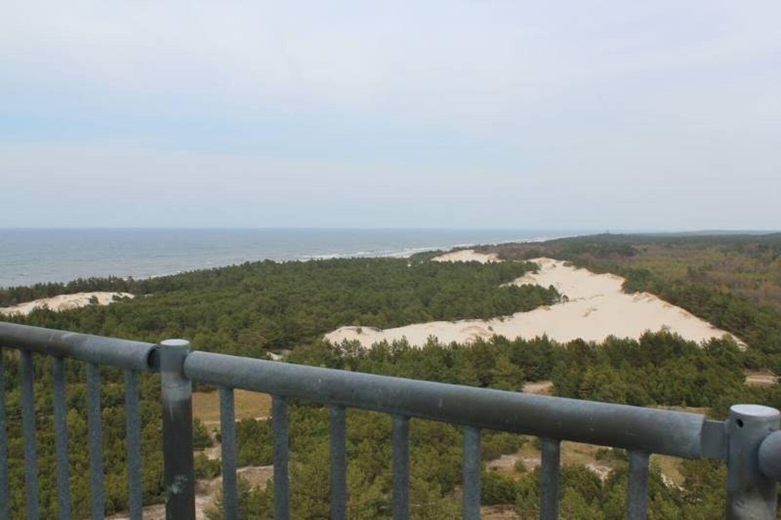 1454390603 wydma lubiatowska