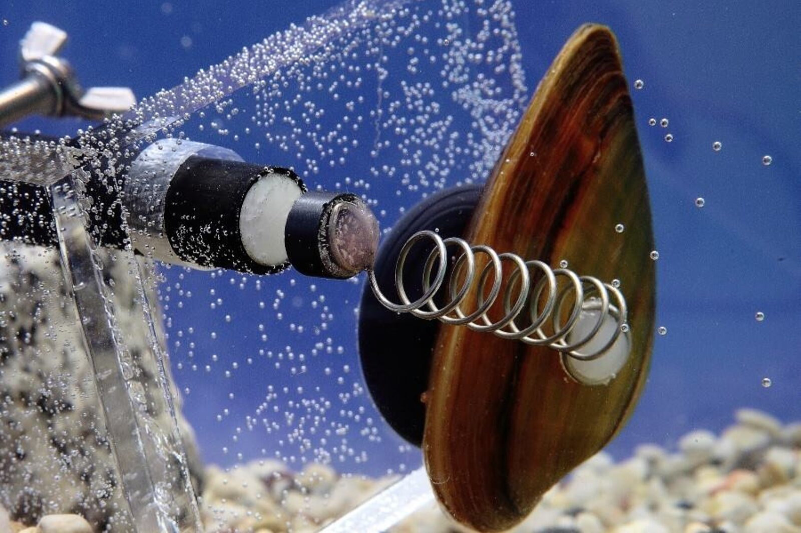 1484922048 malze test