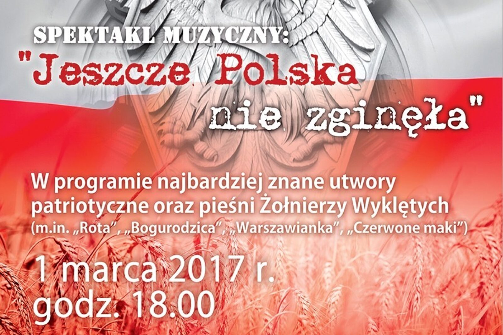 1487938726 zolnierz rs 3