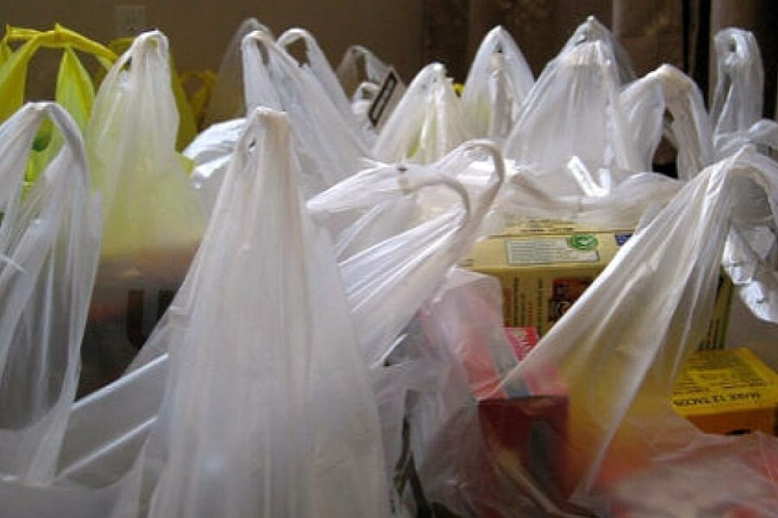 1499319423 reklamowki torby plastik losyziemi pl