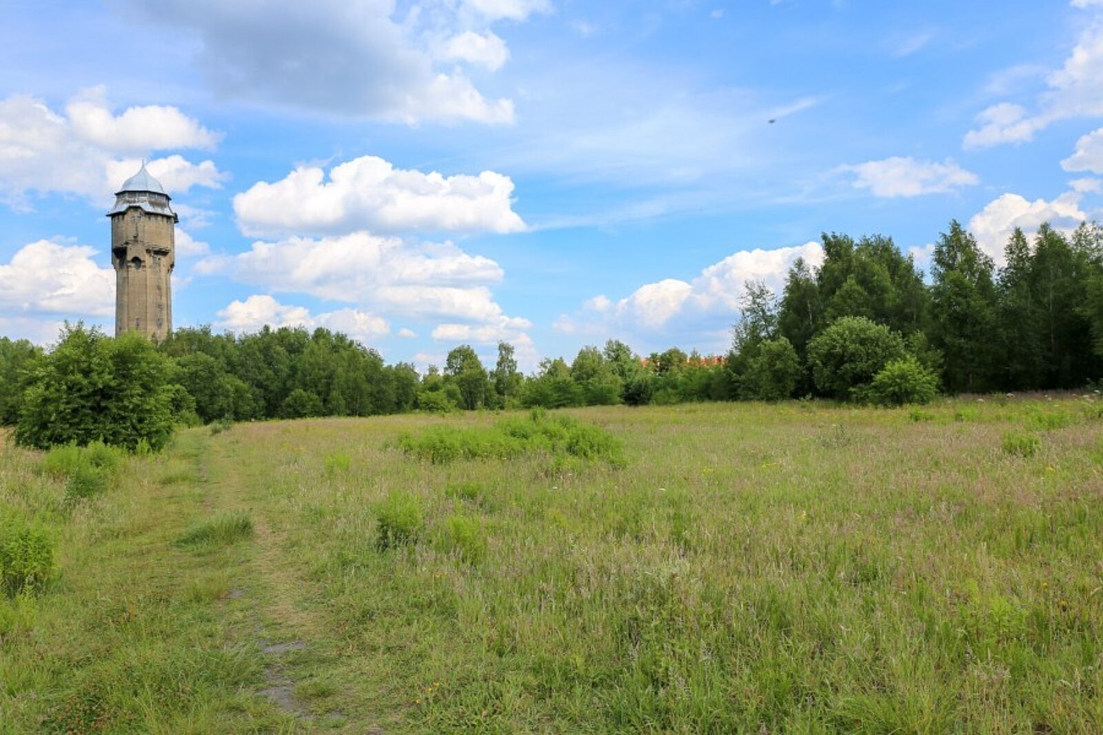 1499517533 dabrowka mieszkanie plus umkatowice