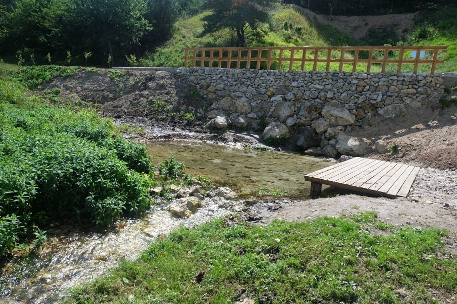 1500030539 stanzczerwca2017fotmgola przyrodaiczlowiekpl