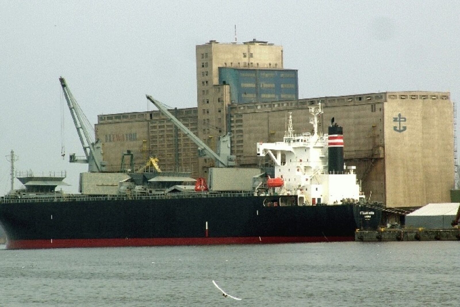 1500923993 masowe zpmss