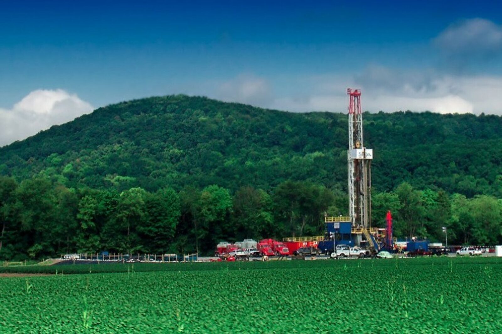 1504604516 miloslaw e piotrmaciazek twitter