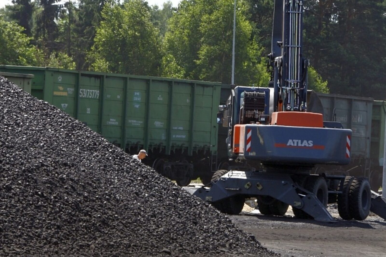 1514904382 lososna clososna