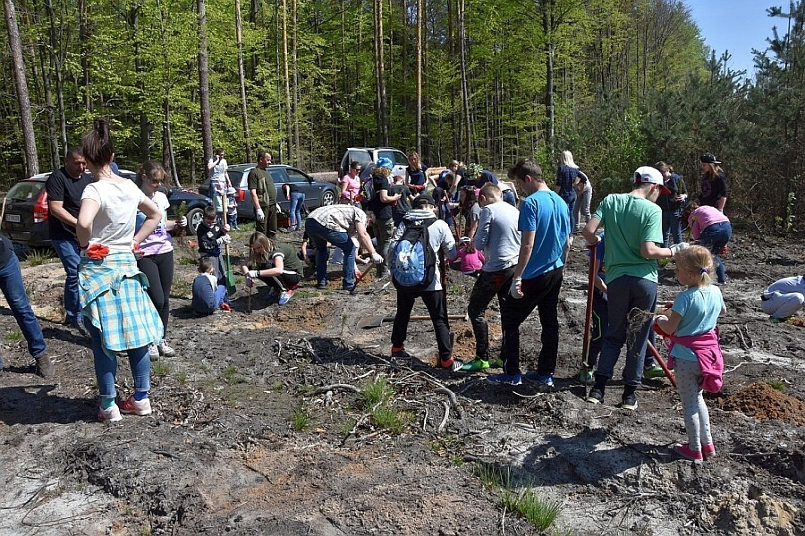 1524656142 lasy pelne energii pgeobrot