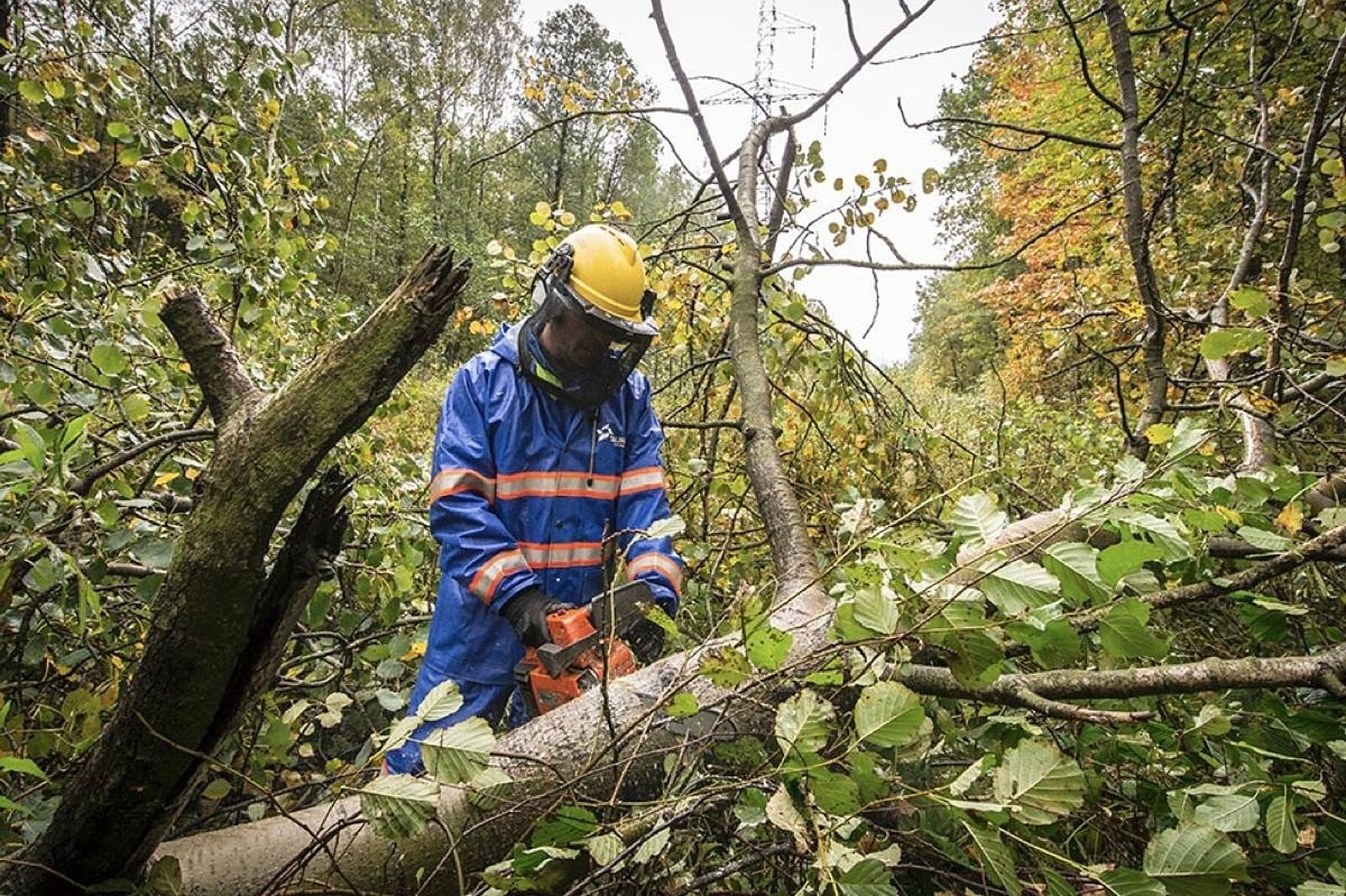 1537781106 energetycy awaria tauron