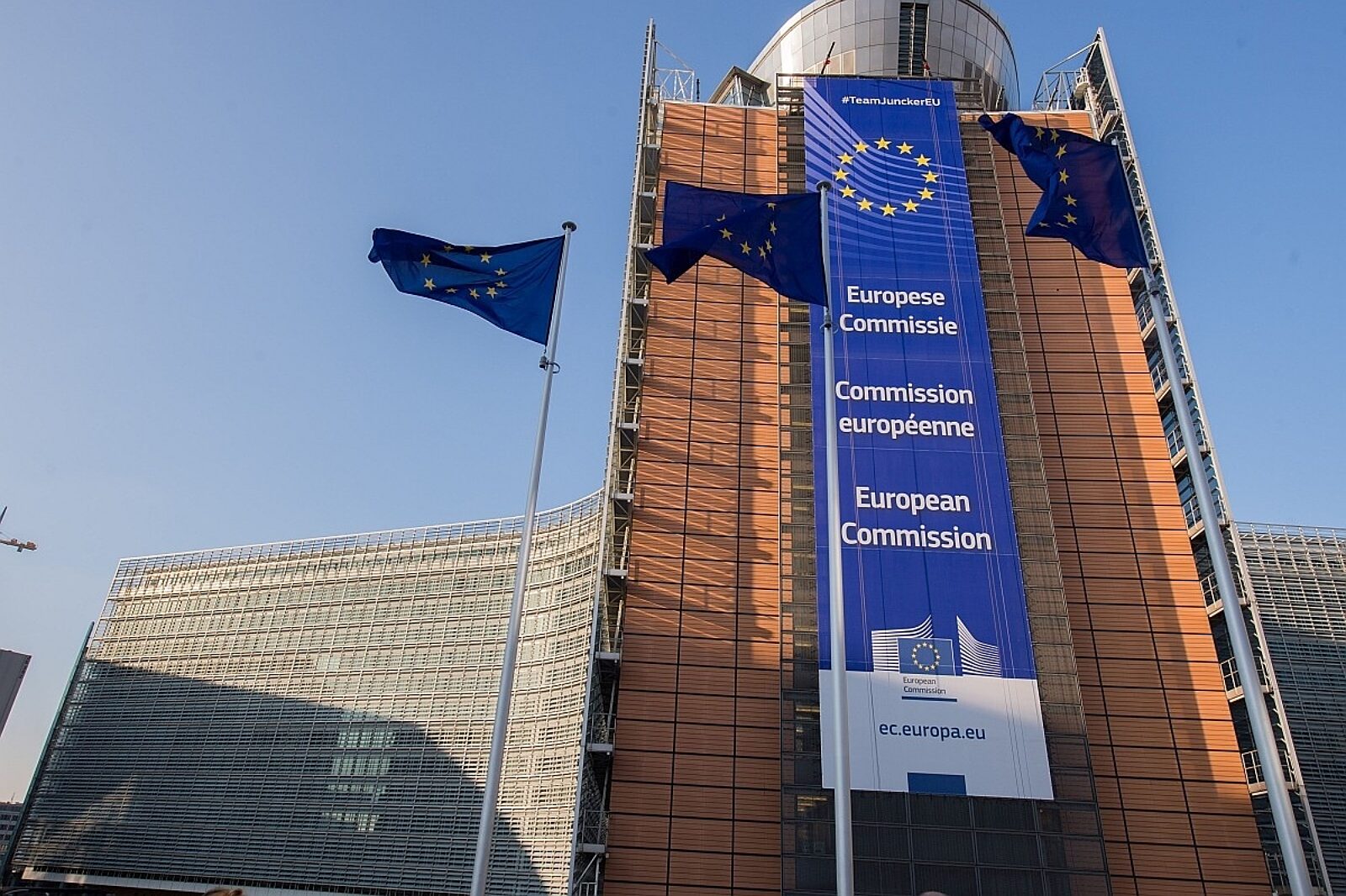 1538240061 01 brukselaarcke k4 m