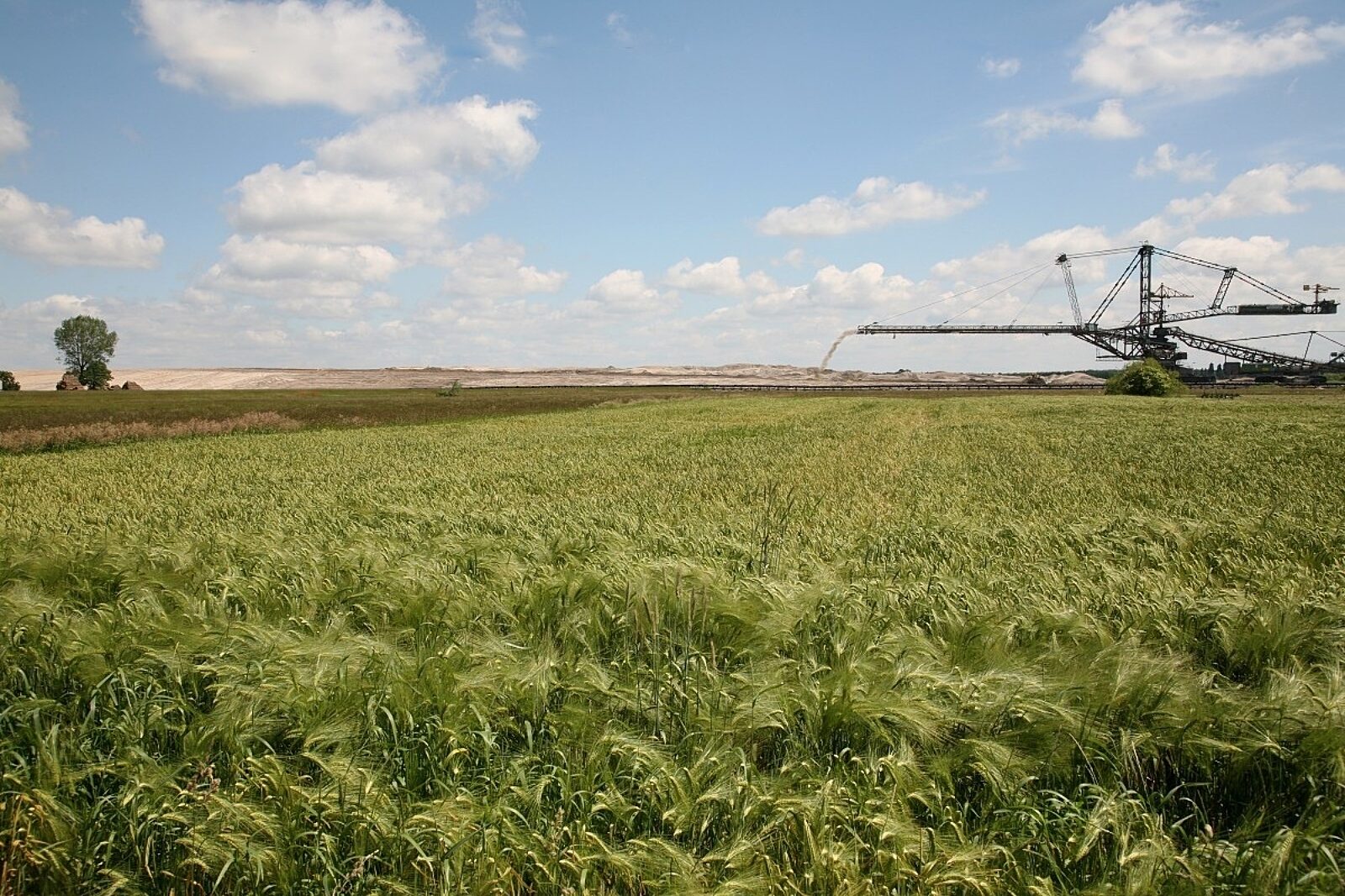 1548329142 zwlowarka tomislawice kwb konin