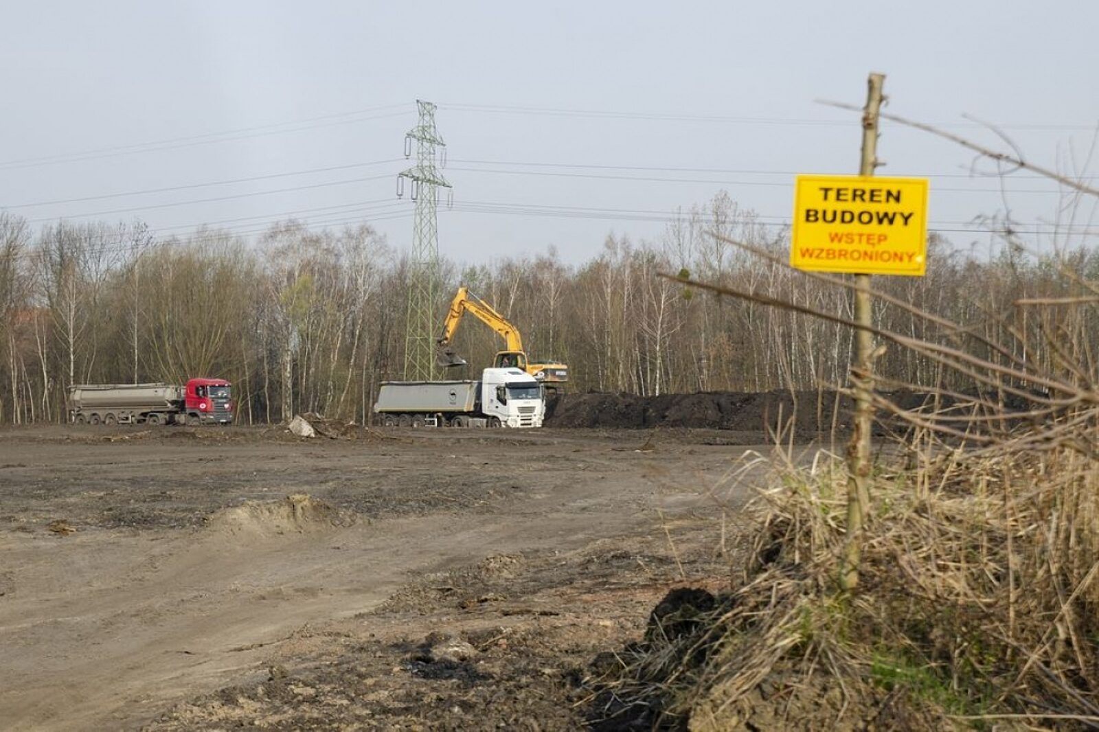 1556102437 moszczenica