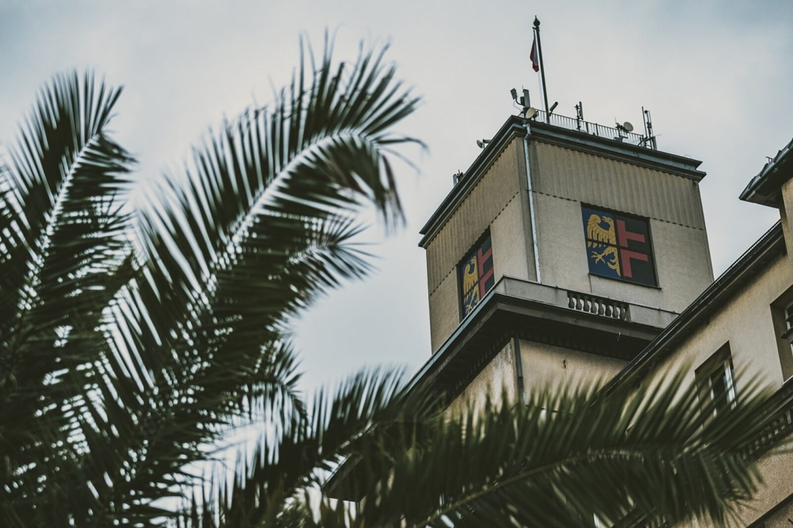 1561732880 chorzow rynek um chorzow