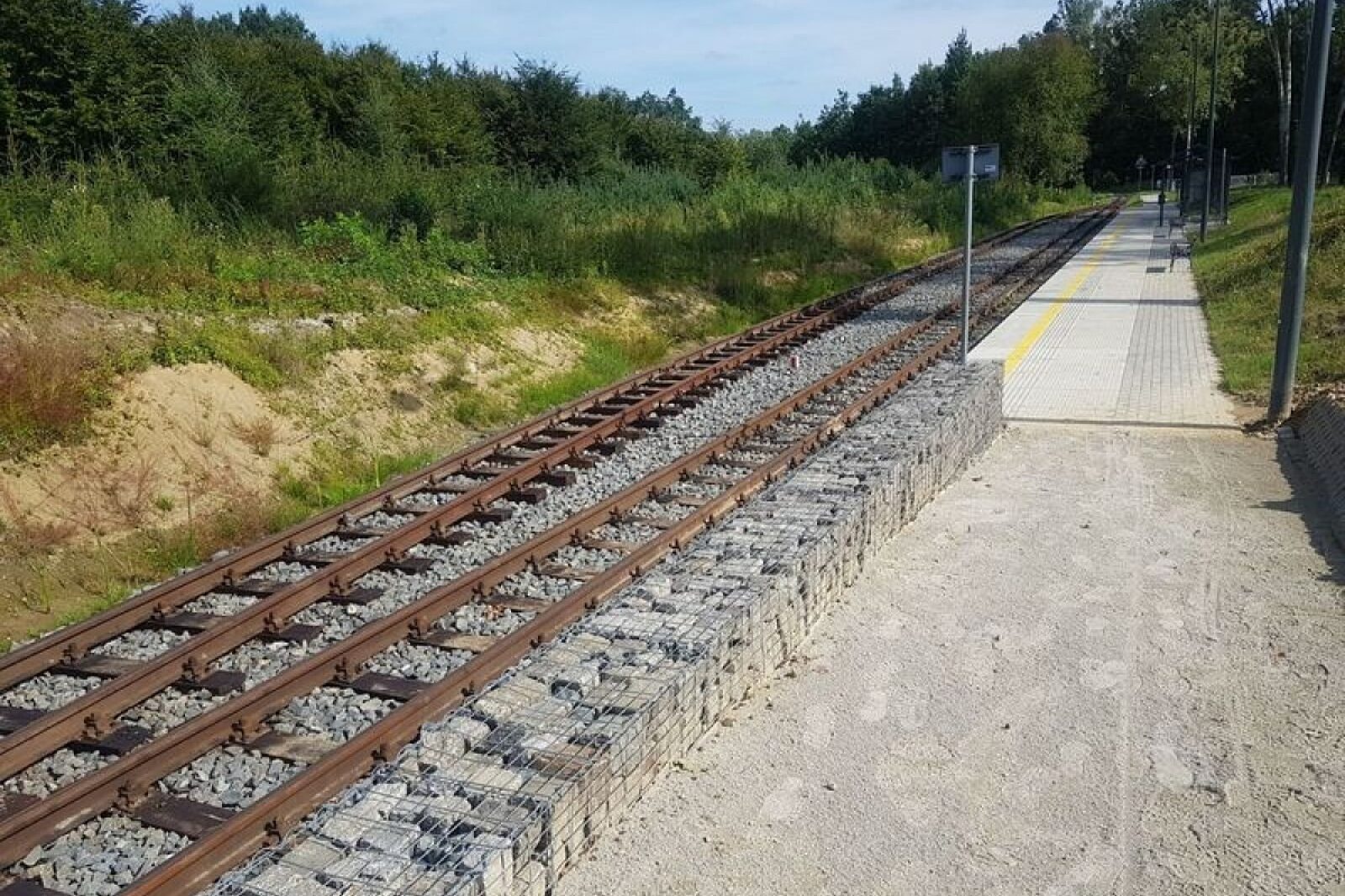 1568038126 csm sciezka pniowiec fotlkarbowinski 10 e83f027c1e