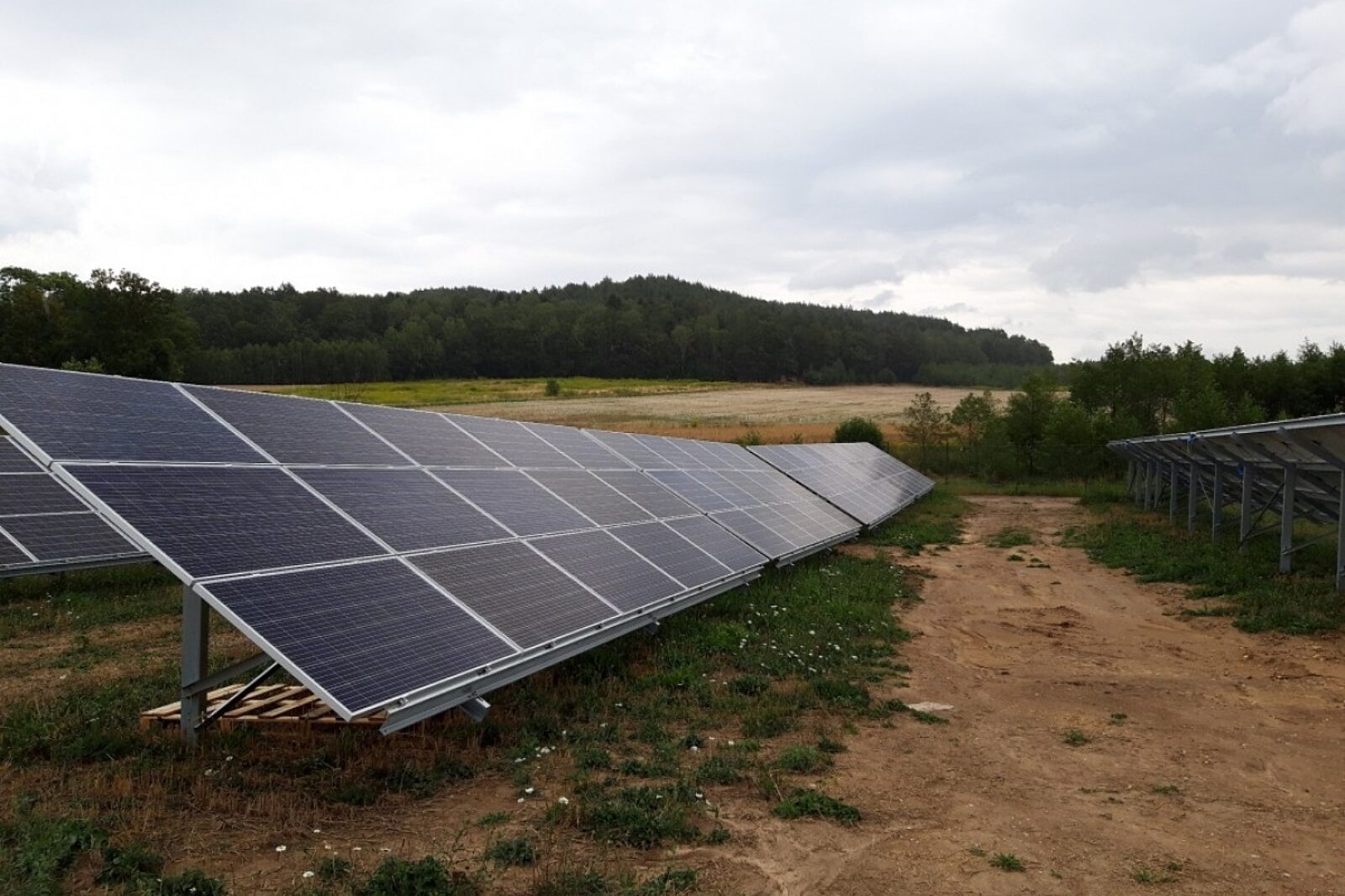 1578375500 farma fotwoltaiczna zgorzelec wfosigw wroclaw pl