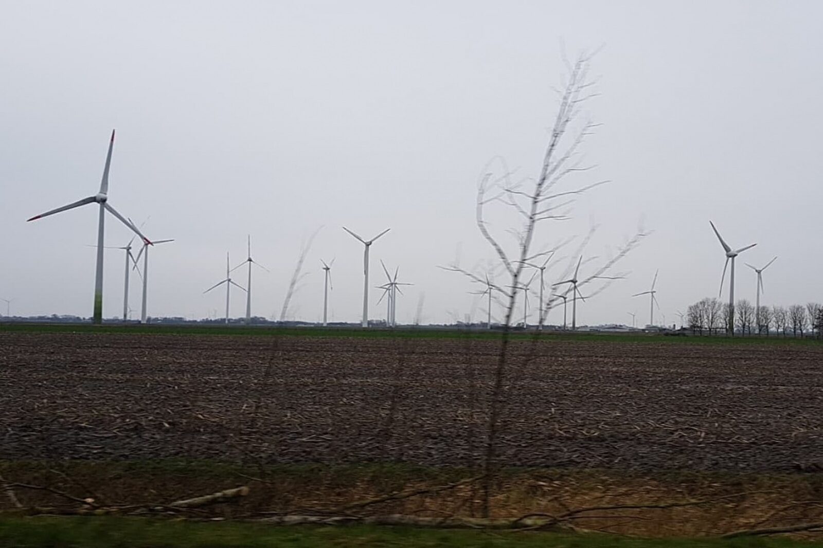 1581413581 wiatraki2