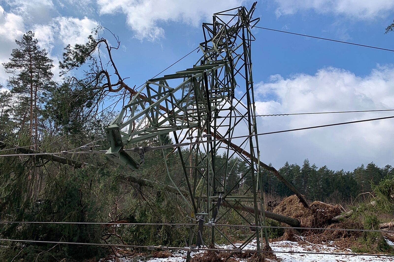 1581504789 awaria tauron dystrybucja