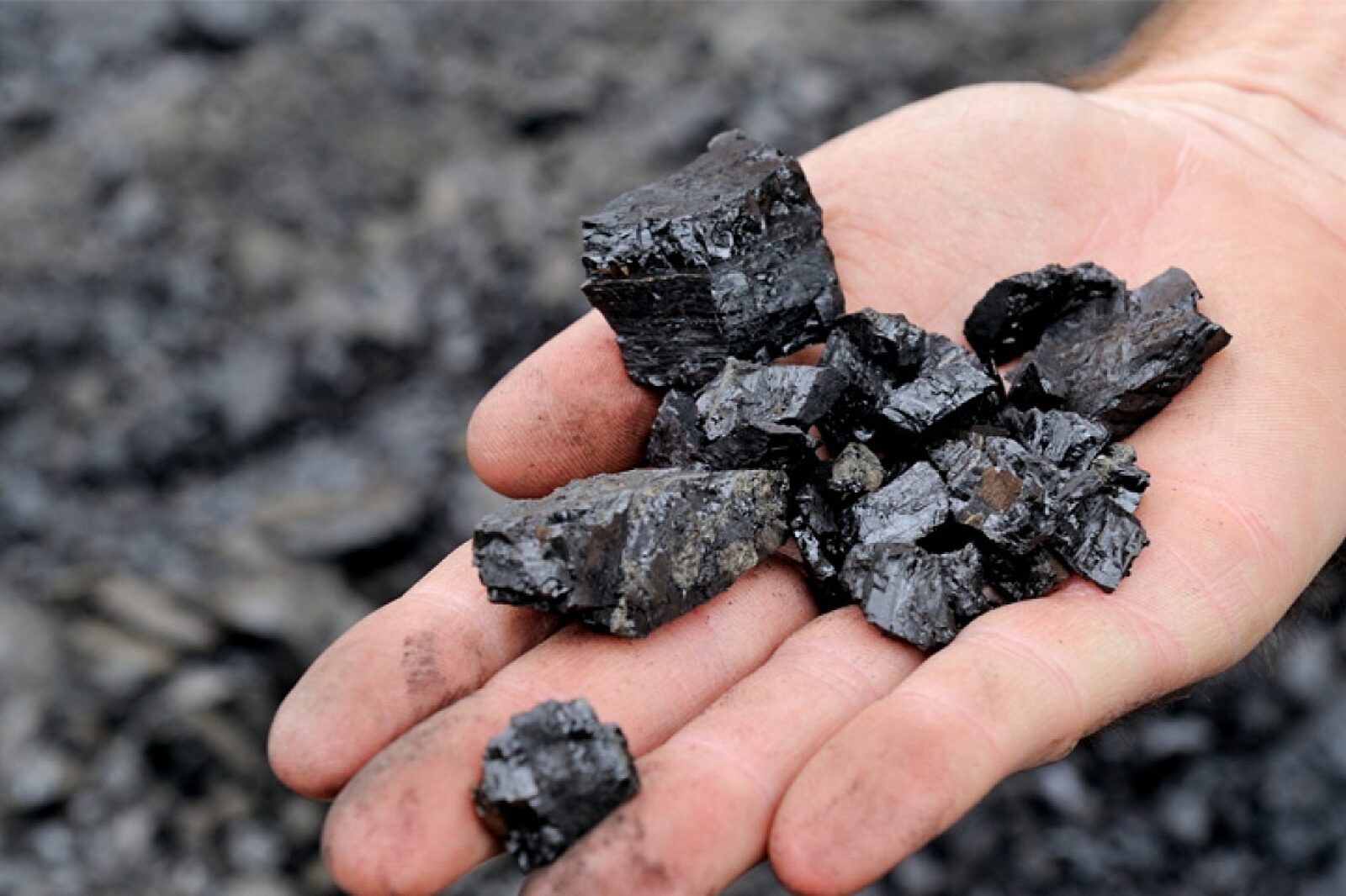 1581692641 universalcoal