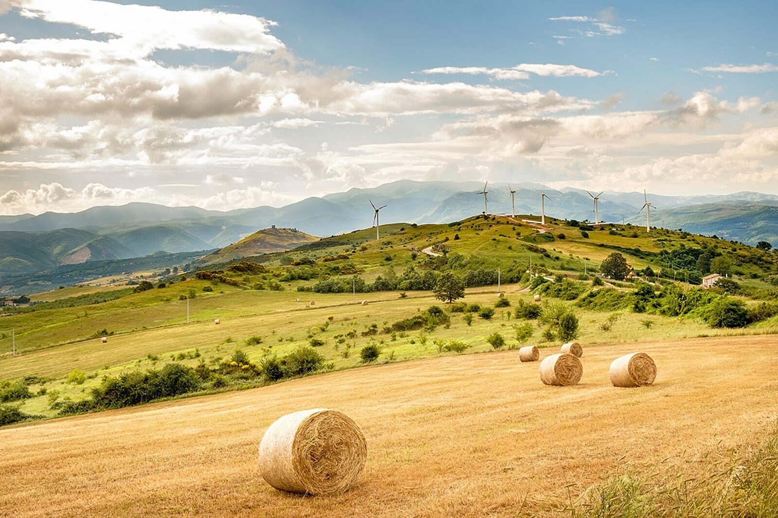 1588231554 wlochyfarmawiatrowa