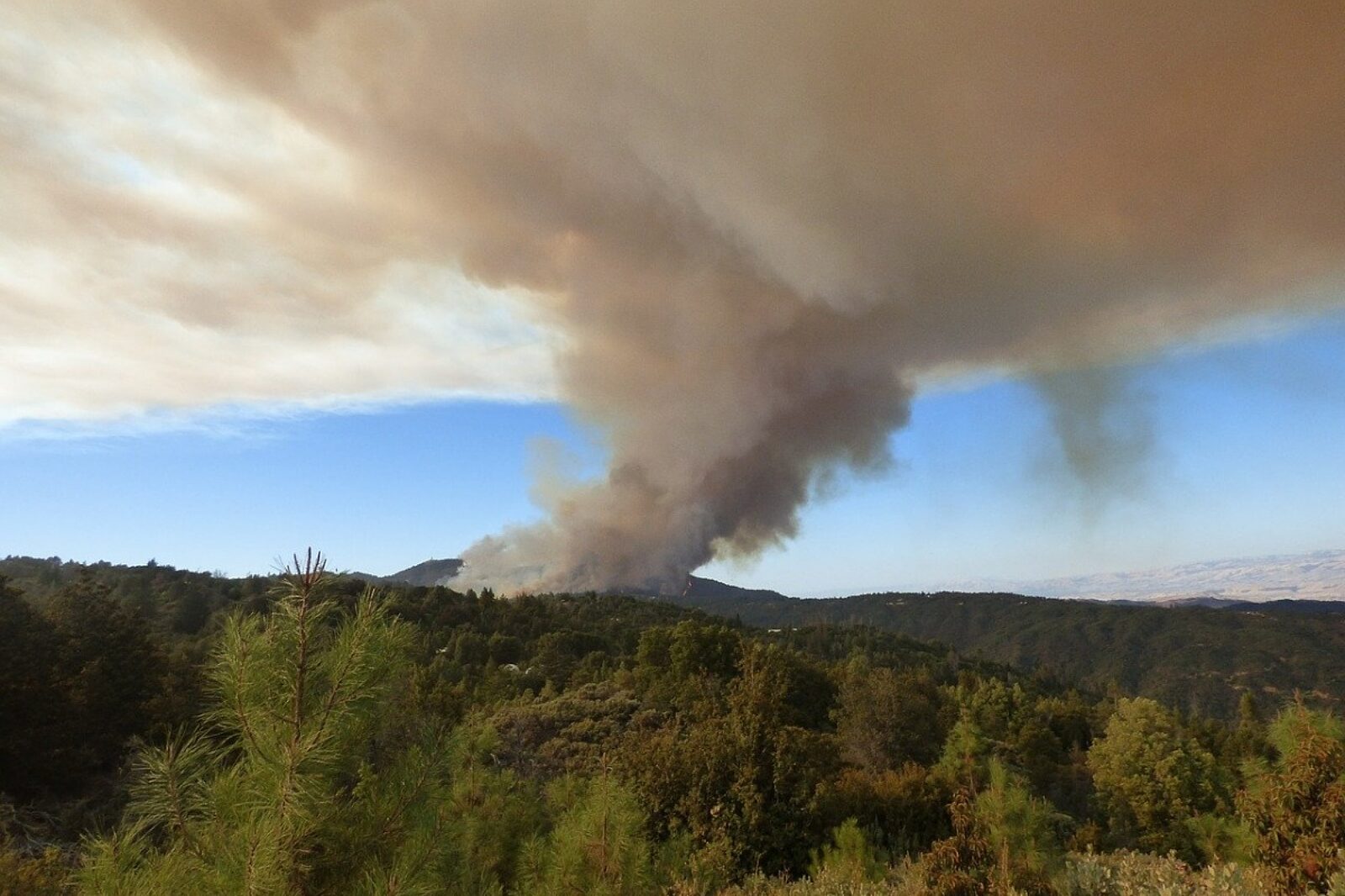 1598353984 kaliforniapixabay