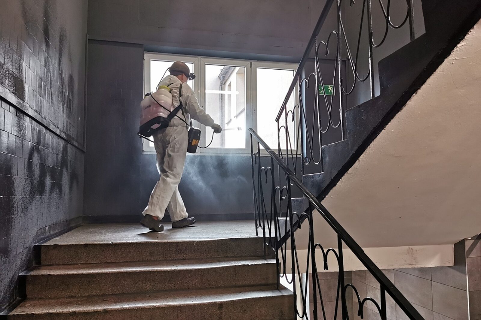 1604921492 dezynfekcja tauron