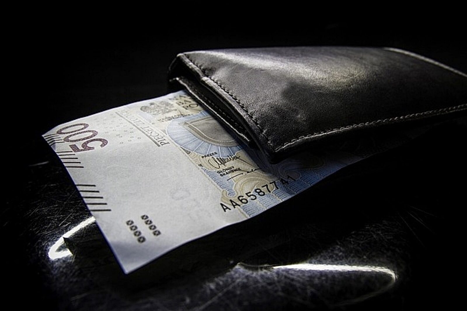 1606464751 portfelpieniadze