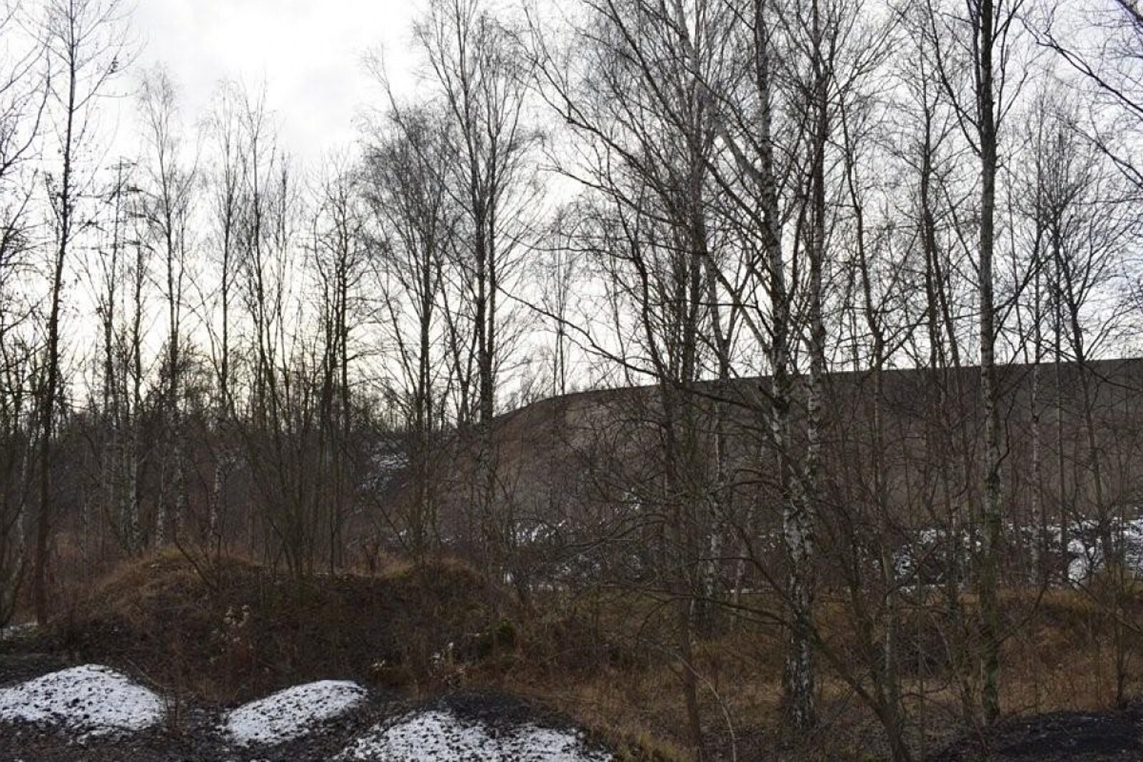 1608552566 halda srk