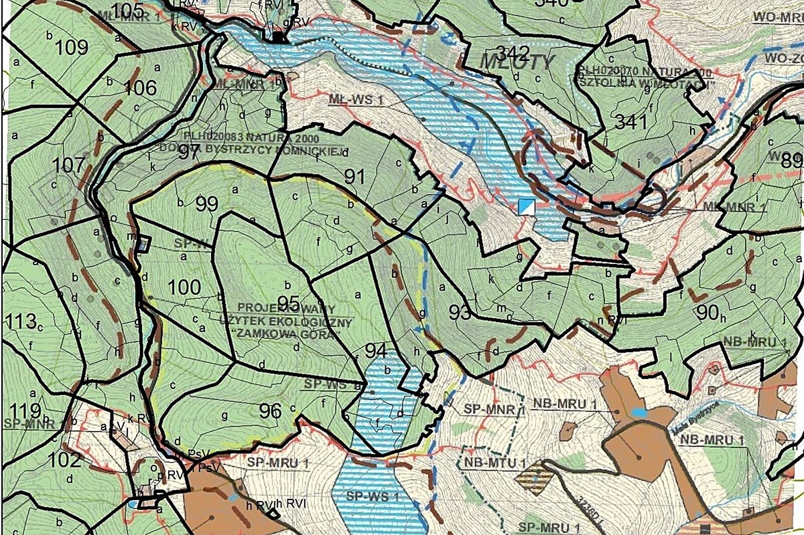 1609238410 mloty lasy