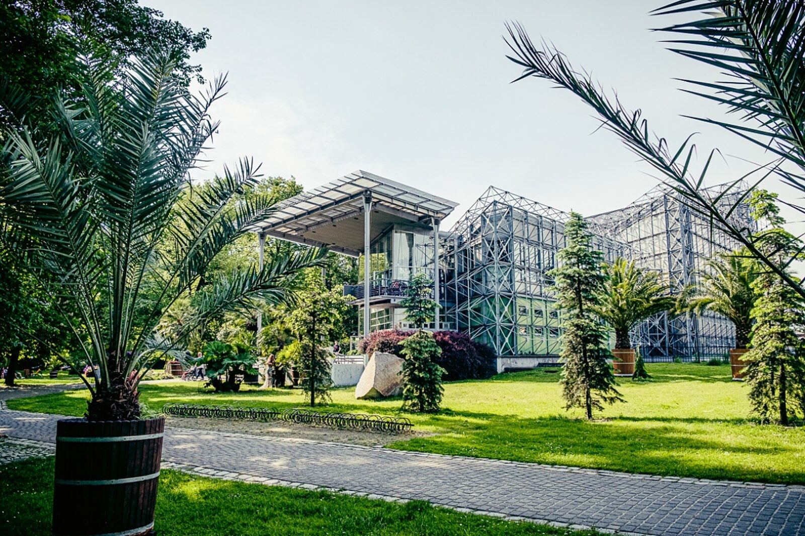 1628764538 palmiarnia