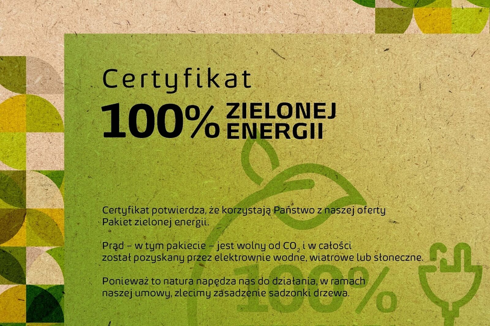 1638272588 certyfikat