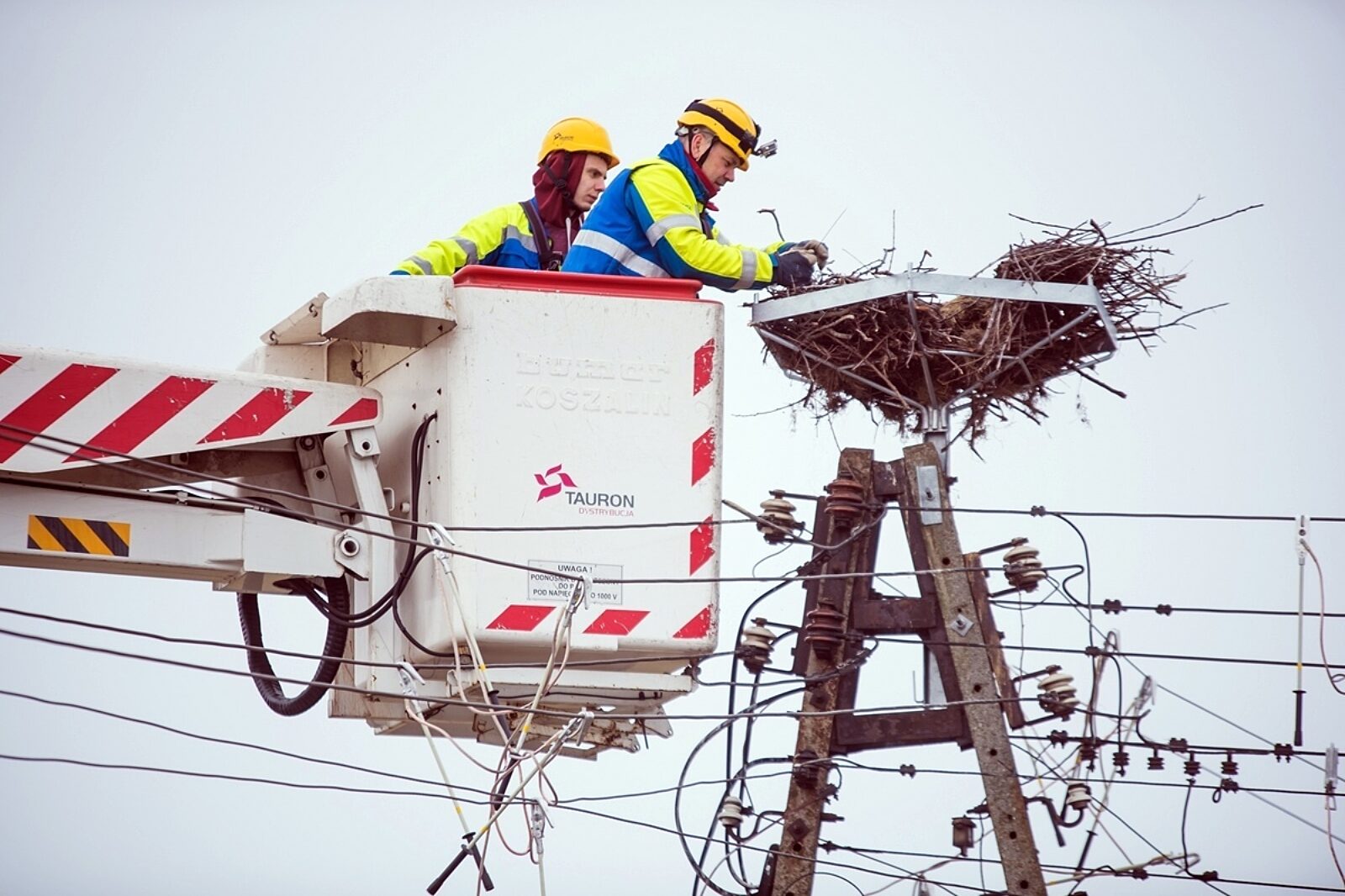 1643364308 bocianie gniazdo tauron