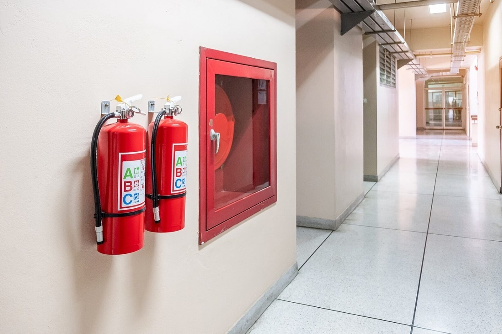 1645619894 fire