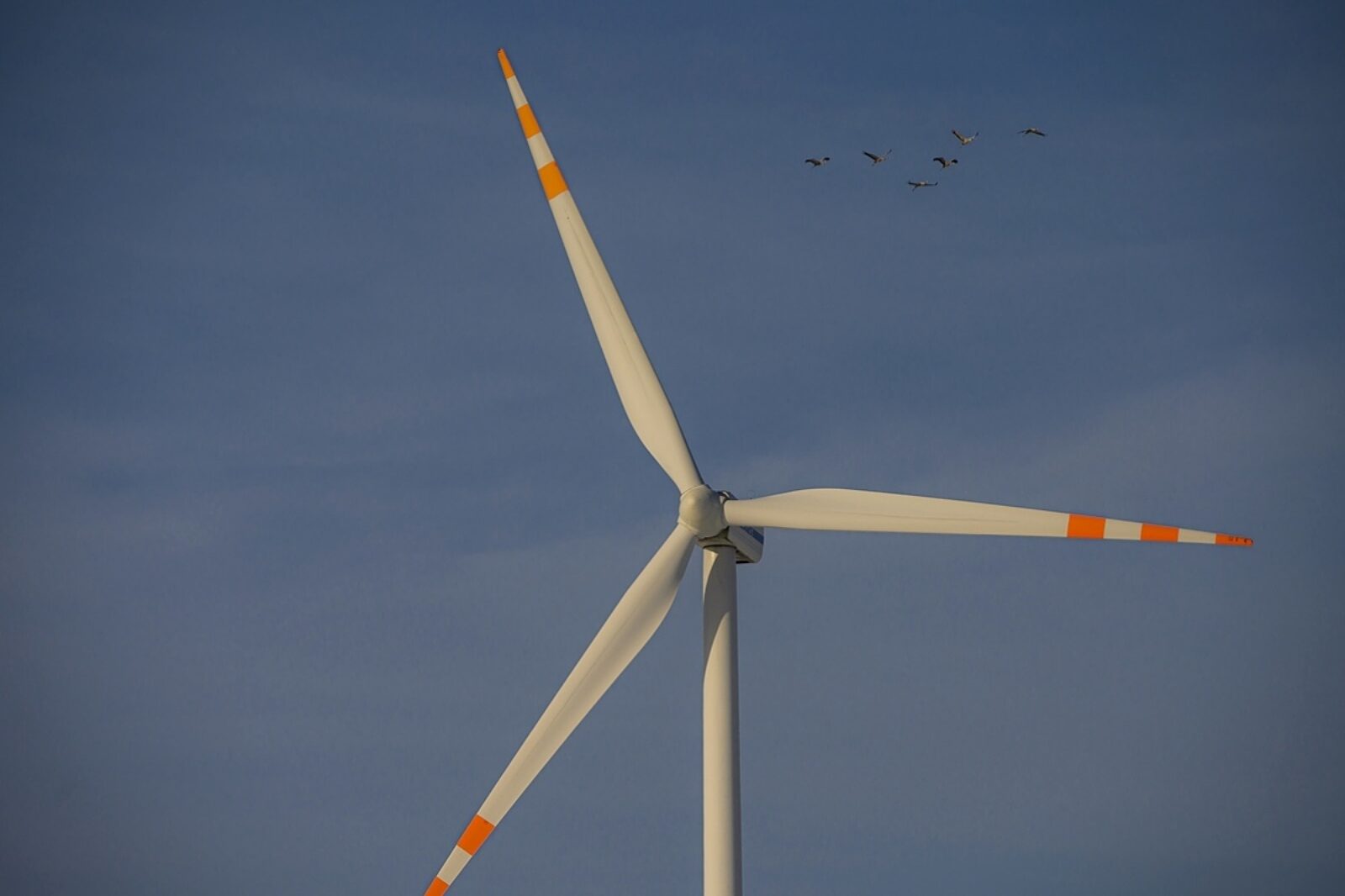 1647344100 wiatraki kobylnica orlen