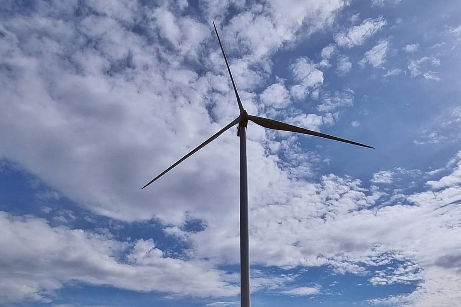 1653907415 farma majewo tauron