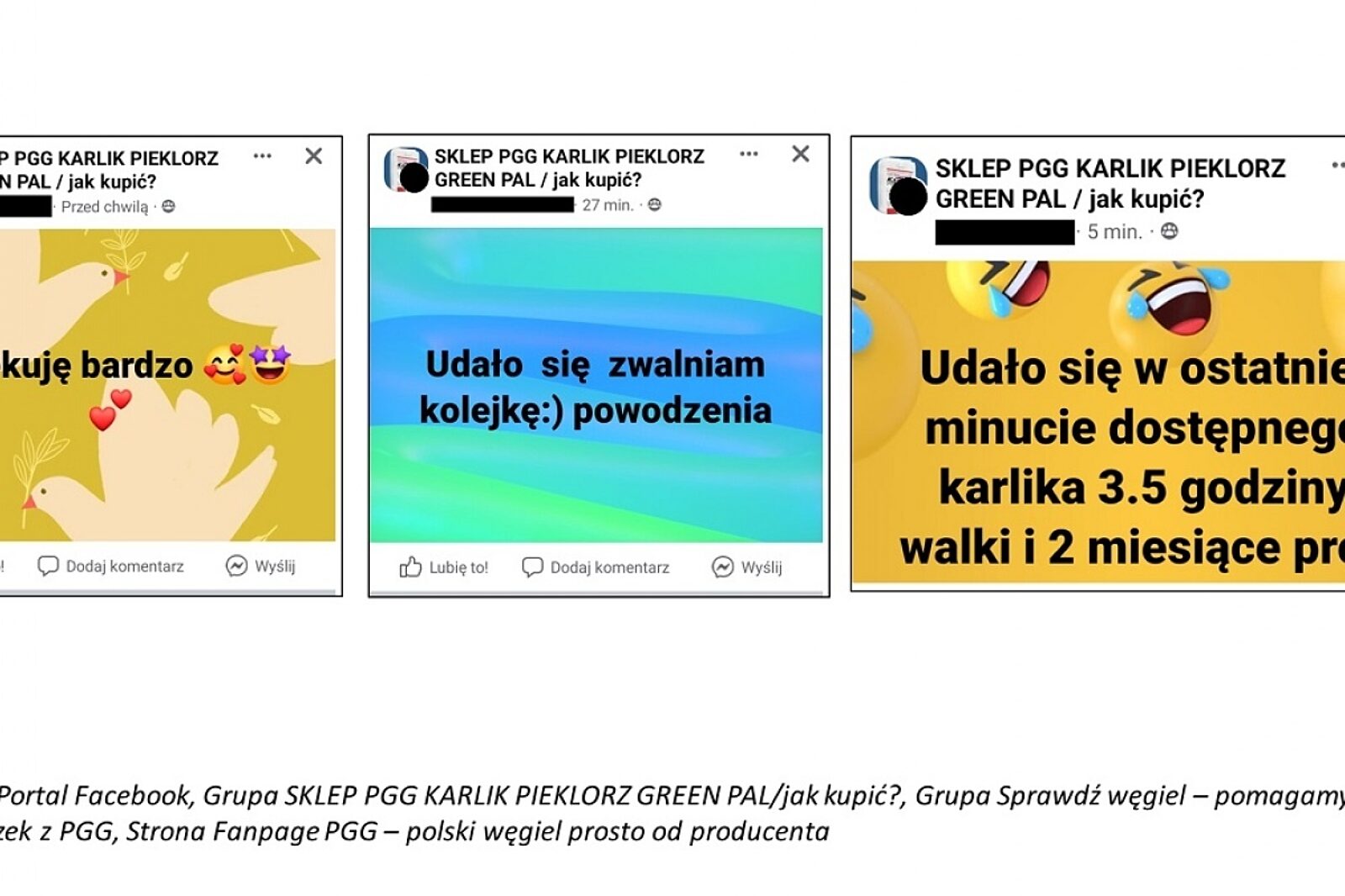 1654239599 sklep pgg