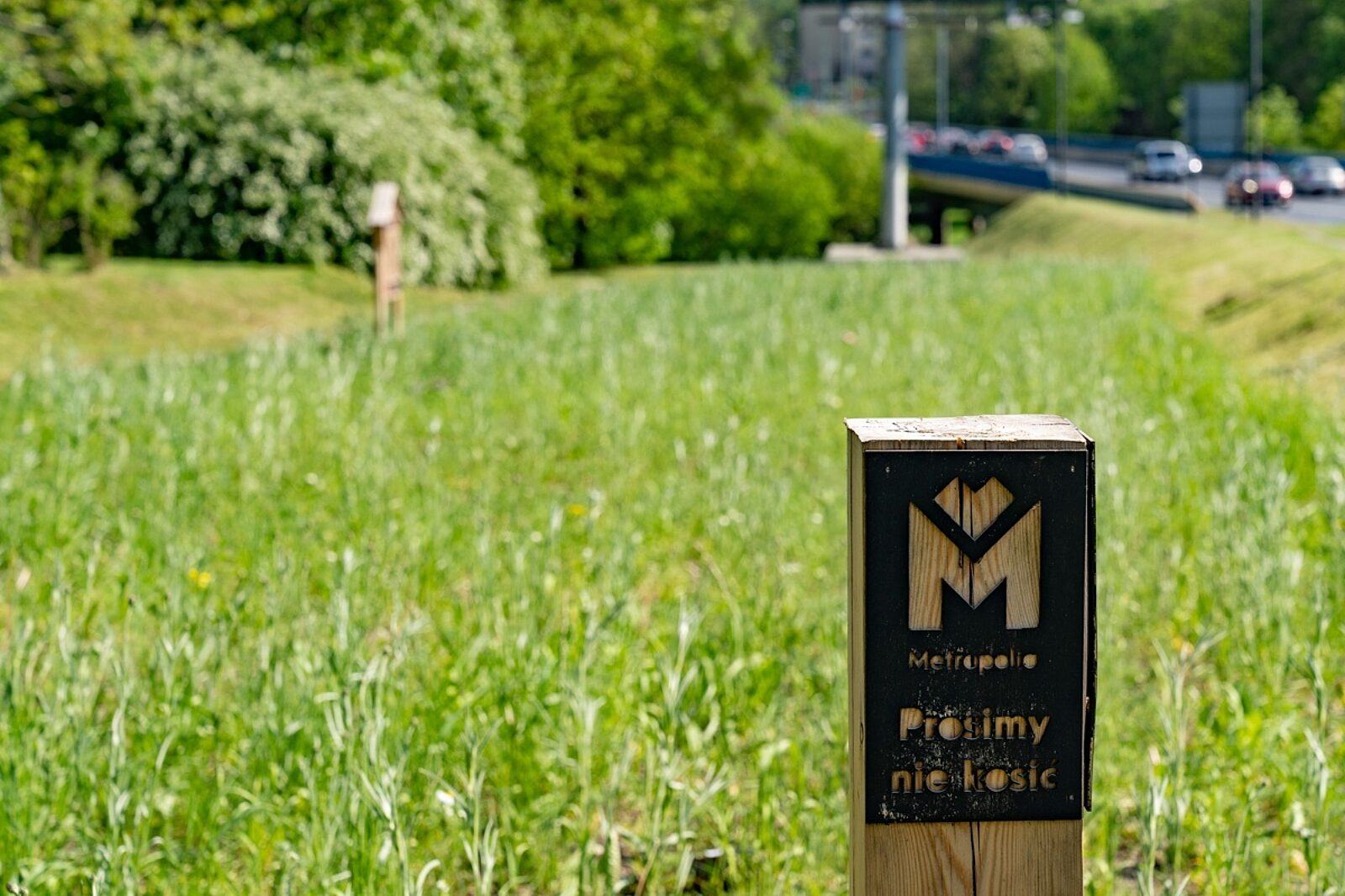 1654690500 laki fb 6 of 1